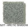 521T - ARCTIC SHADOW